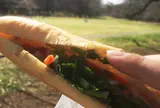 アンディー