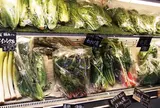 ヤサイクル 逗子海岸店