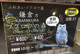 鎌倉乃フクロウの森