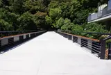 神椿