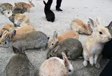 大久野島