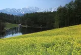 農園カフェ ラビット