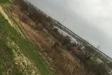 江戸川河川敷