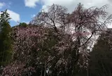 戸定邸