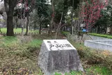 戸山公園（交通公園）
