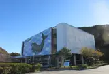 太地町立くじらの博物館