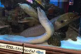 ドン・キホーテ 中目黒本店