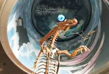 神奈川県立生命の星・地球博物館