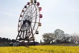 東京ドイツ村