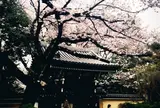 法明寺