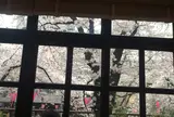 グリーンビーントゥバーチョコレート