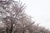 東京ミッドタウン