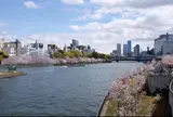 中之島