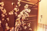鮨さいとう