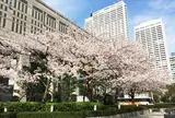 東京都庁