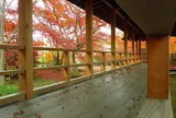 牡丹の寺多聞院