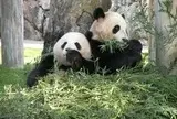 アドベンチャーワールド