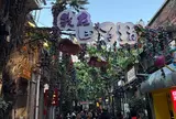 田子坊（Tianzifang）