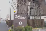 カフェルーチェはなみずき