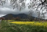 高森温泉館