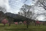 高森町 鍋の平キャンプ場