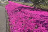 あそ望の郷くぎの