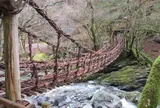 奥祖谷二重かずら橋