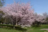 円山公園