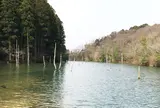 大正池