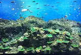 アクアワールド茨城県大洗水族館