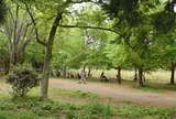 善福寺公園