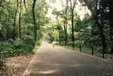 明治神宮