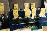 野菜