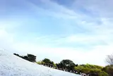 国営ひたち海浜公園