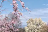 光前寺