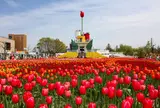 砺波チューリップ公園
