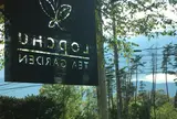 ロプチューティーガーデン八ケ岳
