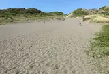 砂山
