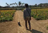 ポピーの里　館山ファミリーパーク