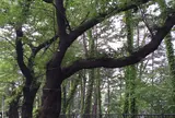 外濠公園