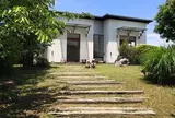 櫻櫻