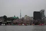 上野恩賜公園