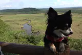 ３日目  釧路〜網走〜層雲峡