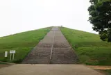 たつのこフィールド