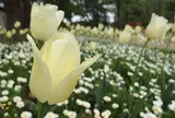 赤城高原牧場クローネンベルク・ドイツ村