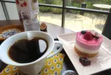 コンテックスタオルガーデン