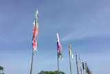遠賀川 鯉のぼりまつり