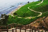 白米の千枚田