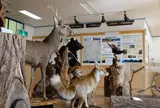 三峰ビジターセンター