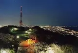 湘南平（高麗山公園）